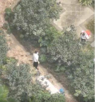 游戏专题 第6页