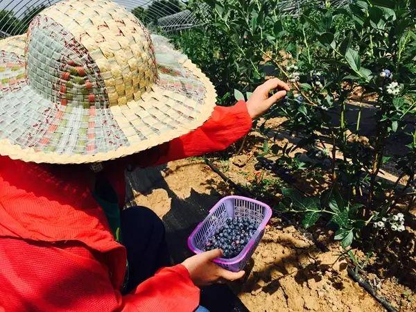 娱乐生活 第5页